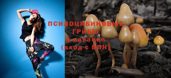 не бодяженный Волоколамск